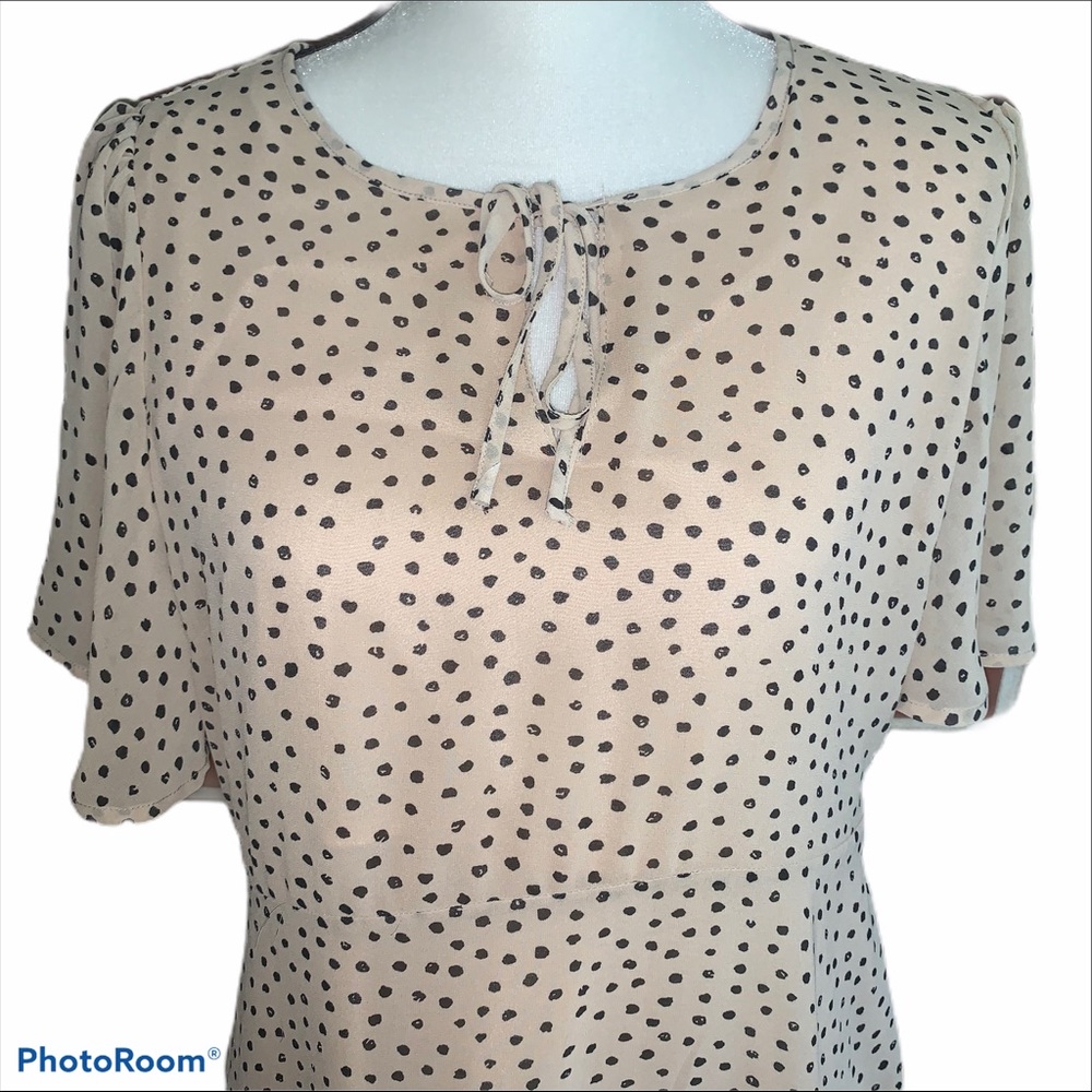 HAYDEN LOS ANGELES | Polka Dot Midi Tan Dress - Picture 5 of 11